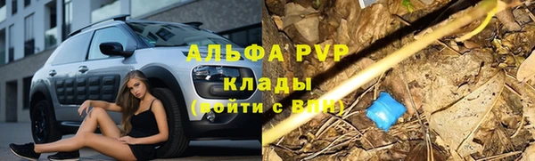 круглые Абаза